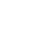 Authentication icon
