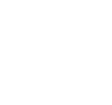 Compliance icon