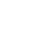 Speed icon
