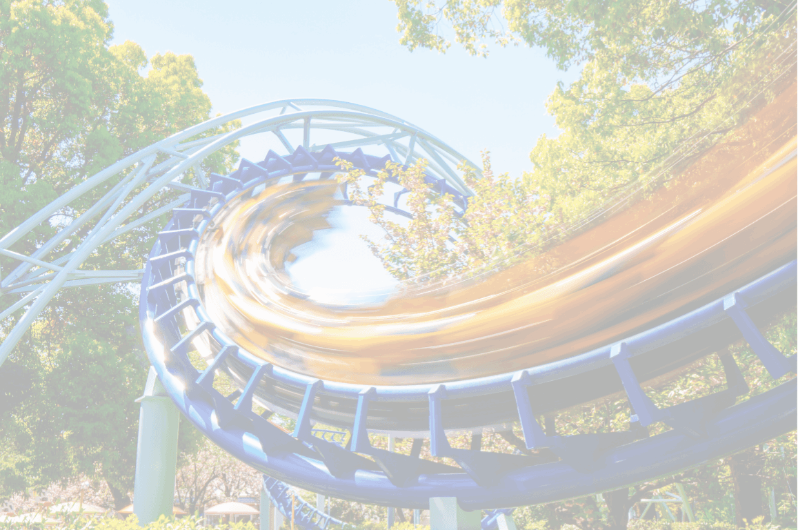 Travel and Amusement Park Access