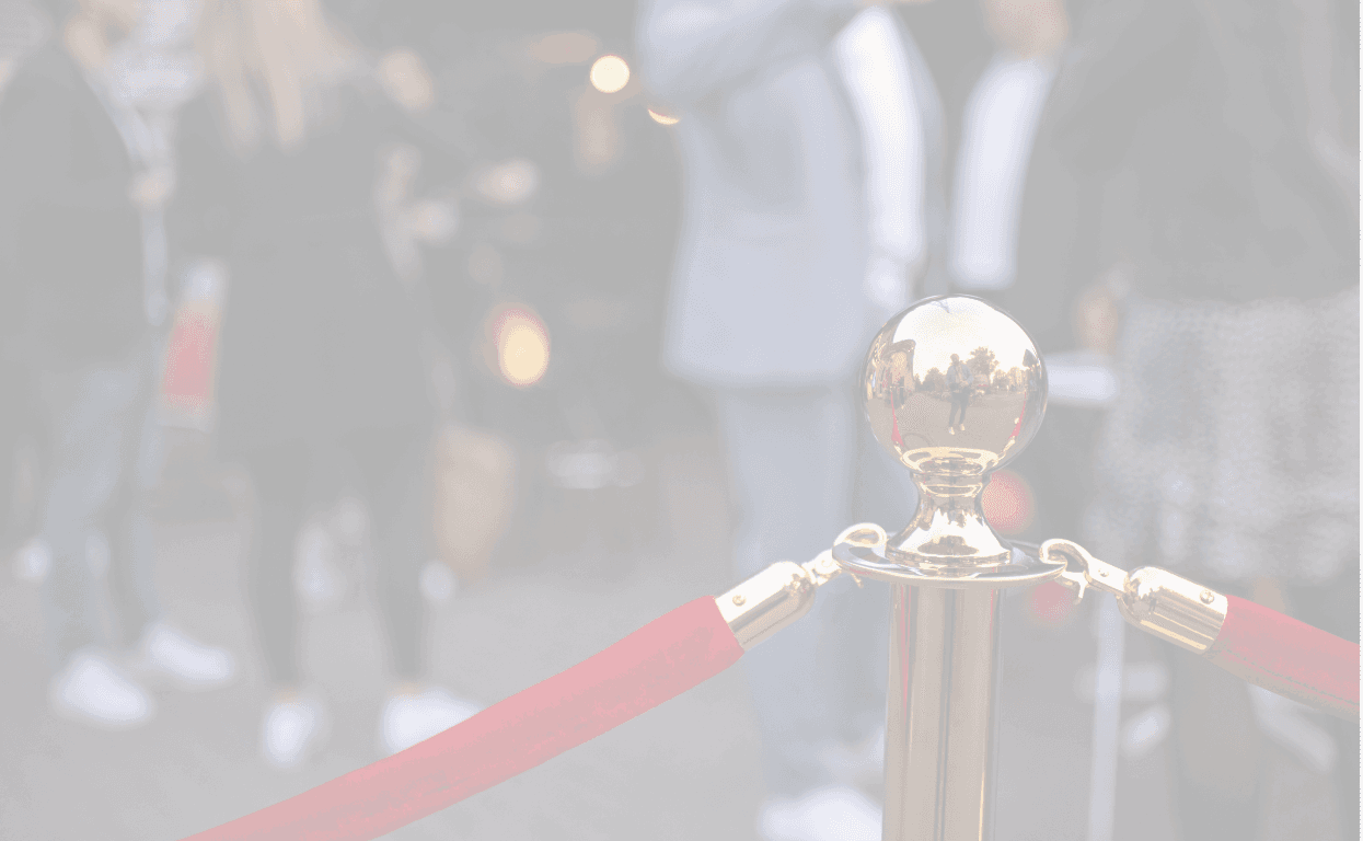 VIP / High-Privilege Entry